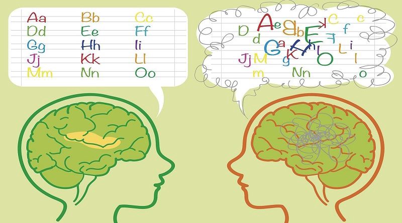 Duas cabeças com destque para o cérebro uma sendo alfabetizada e outra com o alfabeto bagunçado.